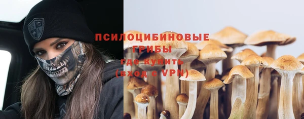 ALPHA PVP Алексеевка