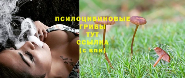 героин Абаза