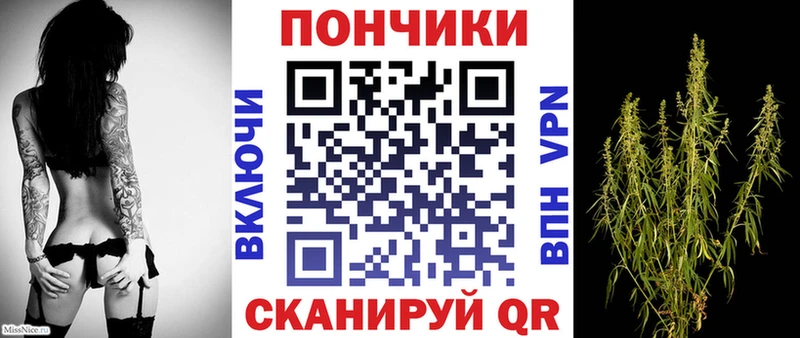 Бошки Шишки сатива  Раменское 